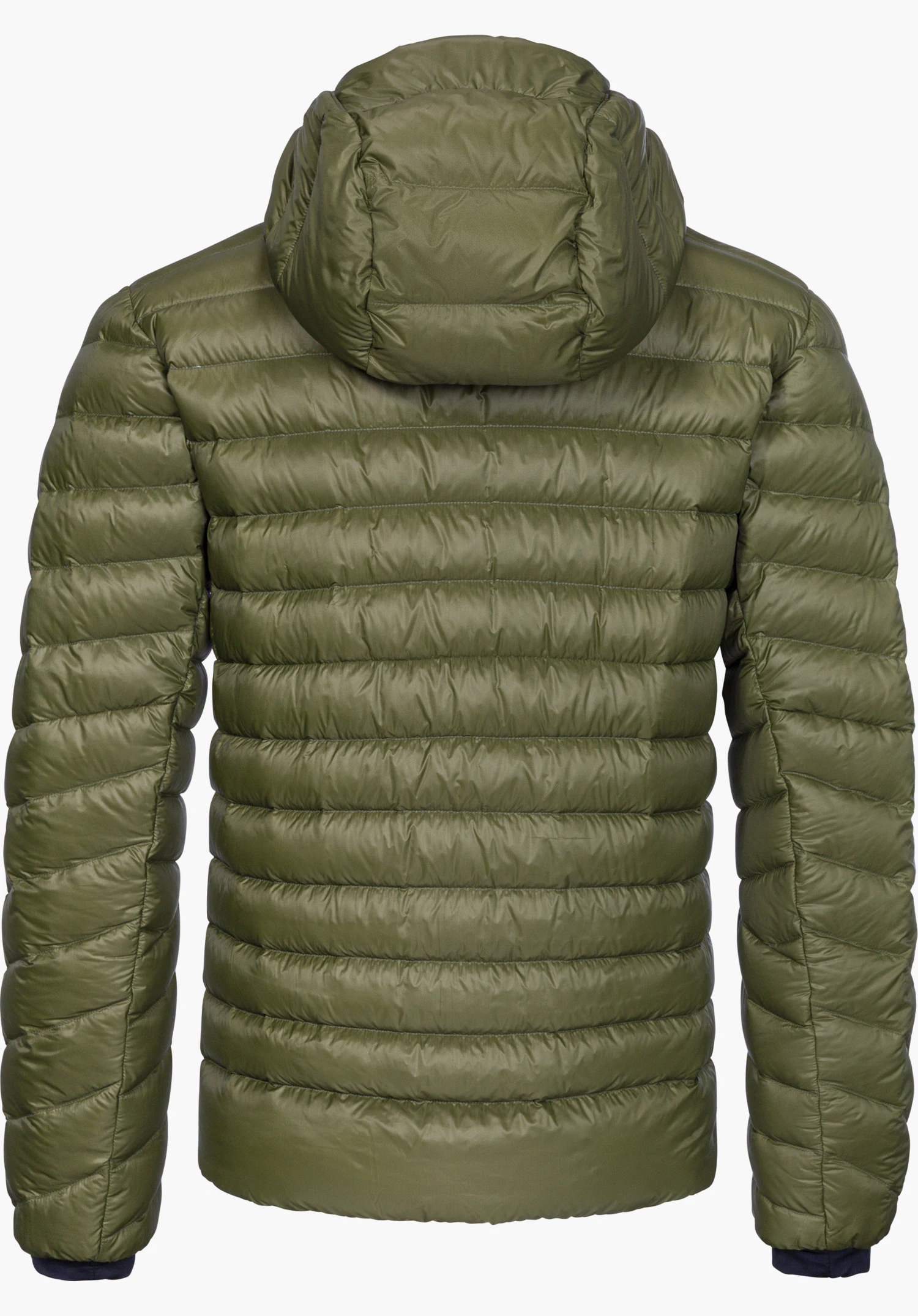 Down Jacket Silvretta M down jacket in green, shown from the back with quilting and a hood, isolated on a white background.