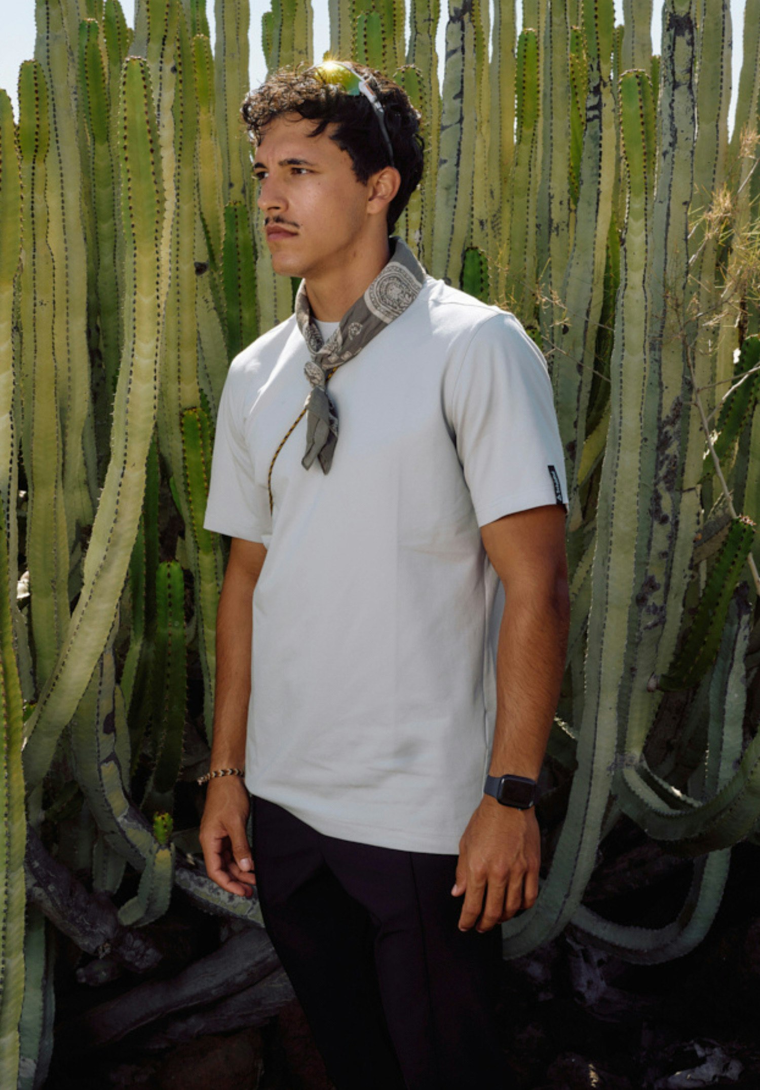 T Shirt Style Serenio MEN