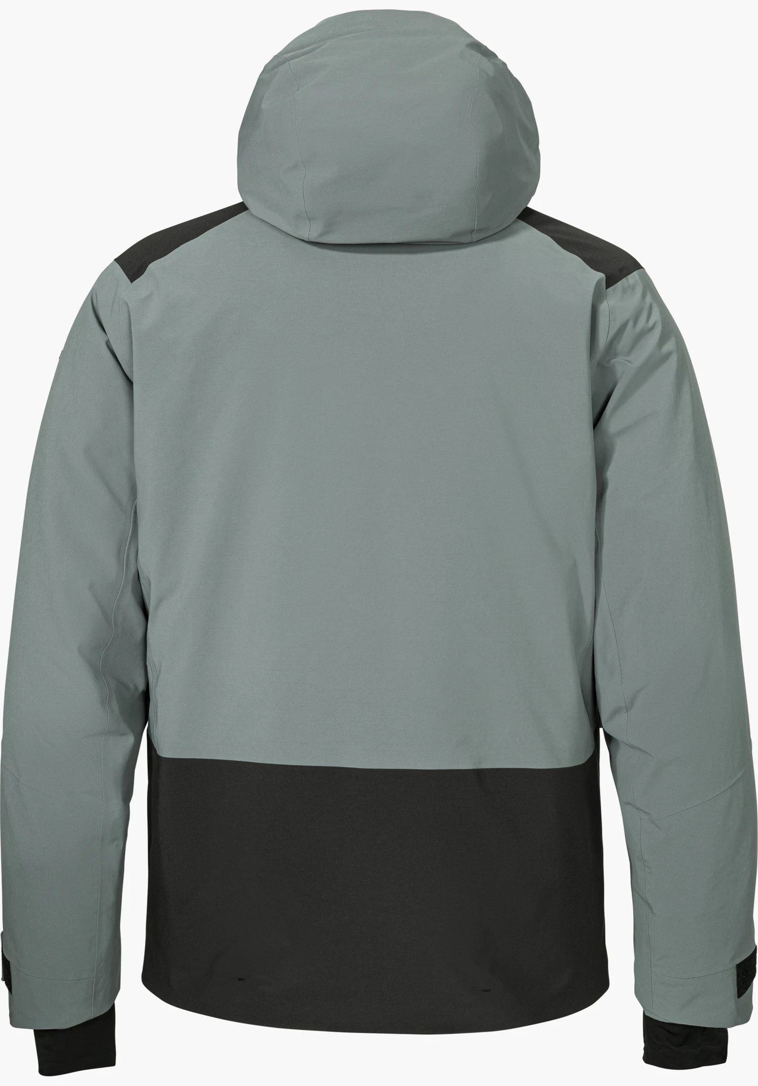 Jacket Style Levivo MEN ski jacket in grey, shown from the back with a hood and isolated on a white background.